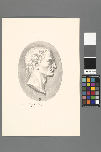 ECL-Bn.1_55-2013 image ECL-Bn.1_55-2013