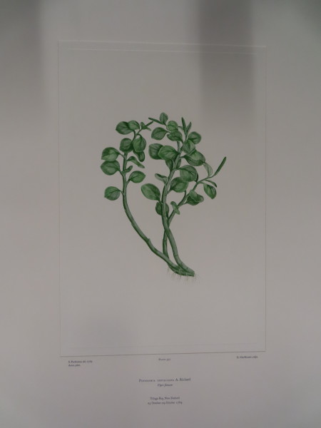 FDA-E.2916_25_25-2016 image FDA-E.2916_25_25-2016