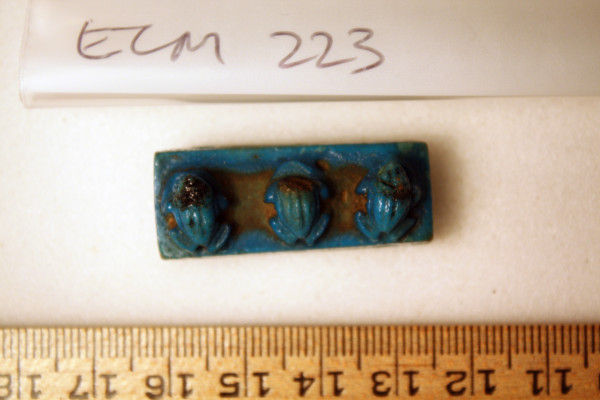 ECM.223-2010-A image ECM.223-2010-A