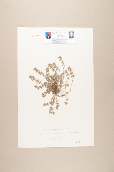 NHM_HH_23.60-2010 image NHM_HH_23.60-2010