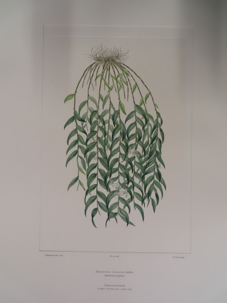 FDA-E.2916_31_19-2016 image FDA-E.2916_31_19-2016