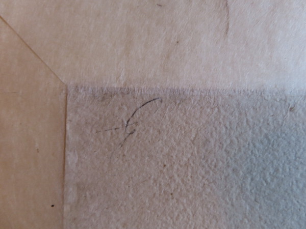 FDA-D.1689-2023-G image FDA-D.1689-2023-G