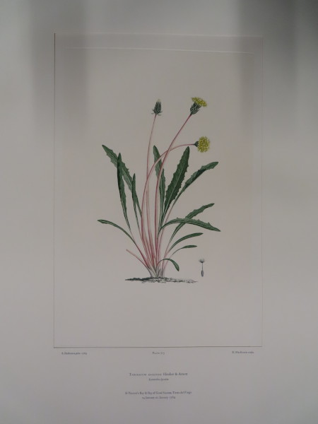 image FDA-E.2916_33_22-2016-A