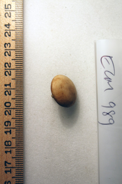 ECM.989-2010-A image ECM.989-2010-A