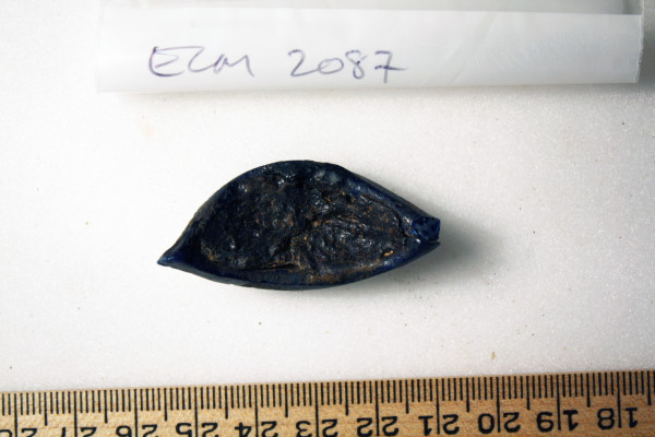 ECM.2087-2010-B image ECM.2087-2010-B