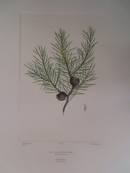 image FDA-E.2916_13_15-2016