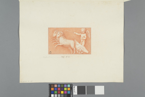 ECL-Bm.4_36-2012 image ECL-Bm.4_36-2012