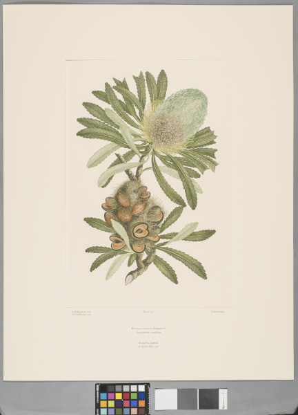 FDA-E.2916_13_18-2016-C image FDA-E.2916_13_18-2016-C