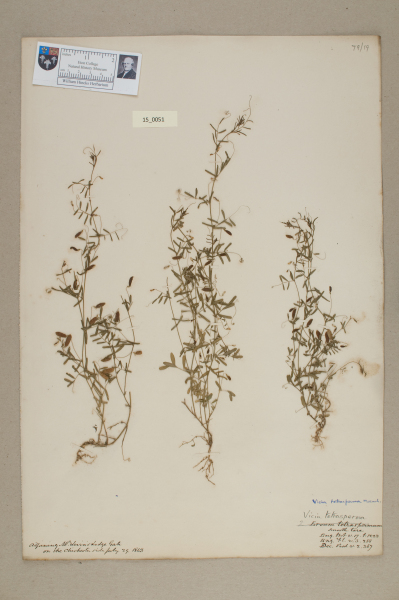 NHM_HH_15.51-2010 image NHM_HH_15.51-2010