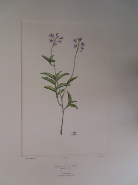 image FDA-E.2916_16_22-2016