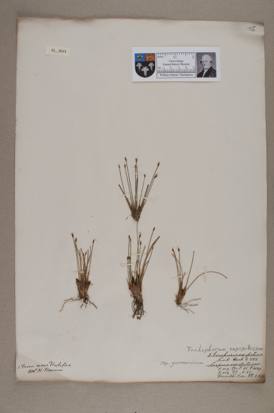 NHM_HH_32.13-2010 image NHM_HH_32.13-2010