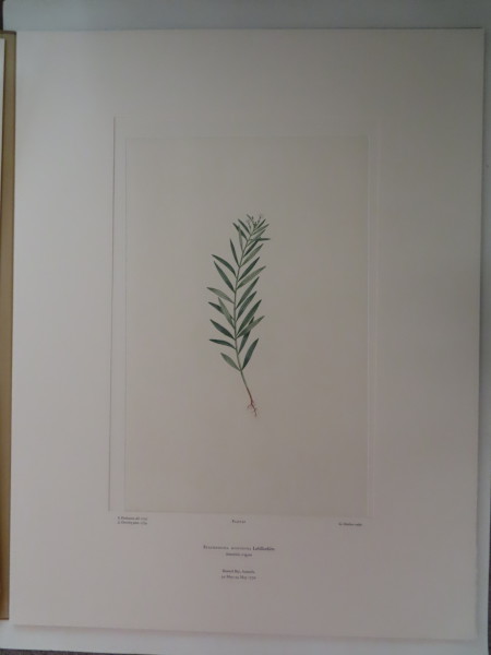 FDA-E.2916_2_23-2016 image FDA-E.2916_2_23-2016