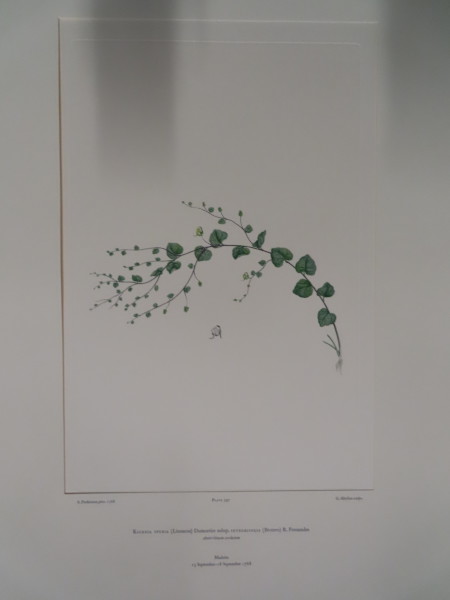 FDA-E.2916_19_10-2016-A image FDA-E.2916_19_10-2016-A