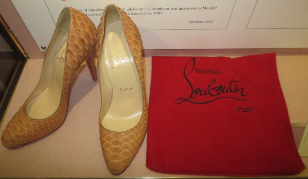 NHM-BA.2-2018 image NHM-BA.2-2018