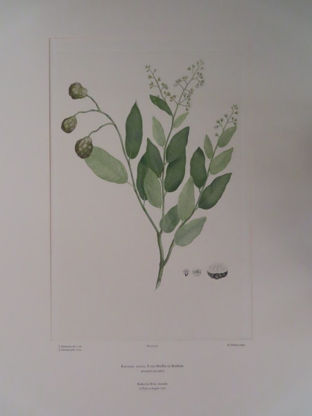 image FDA-E.2916_5_10-2016-A