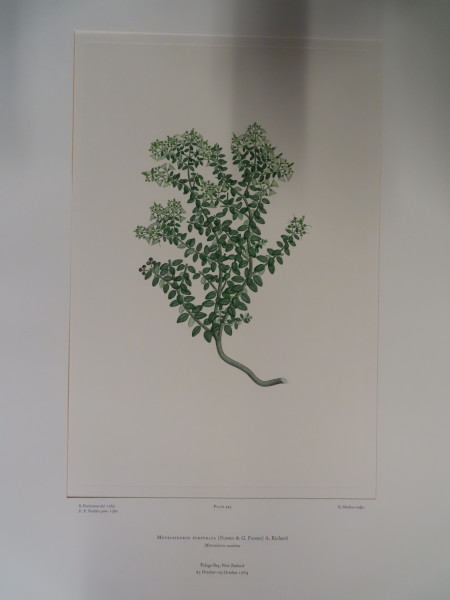 image FDA-E.2916_21_23-2016