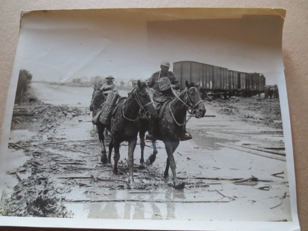 ECL-O.146_26-2014 image ECL-O.146_26-2014