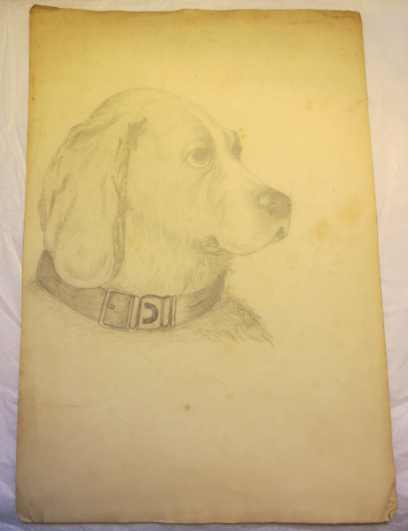 FDA-D.1595_32-2018 image FDA-D.1595_32-2018