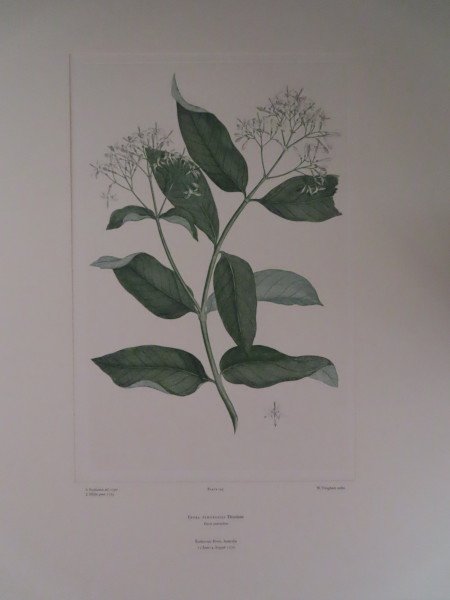 FDA-E.2916_7_13-2016-A image FDA-E.2916_7_13-2016-A