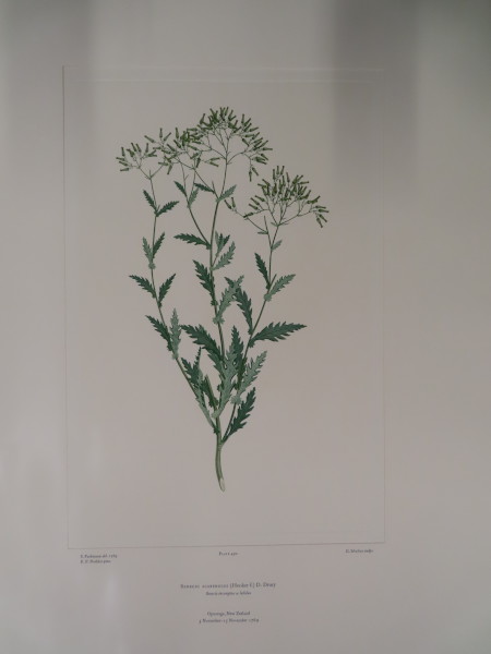 image FDA-E.2916_23_24-2016