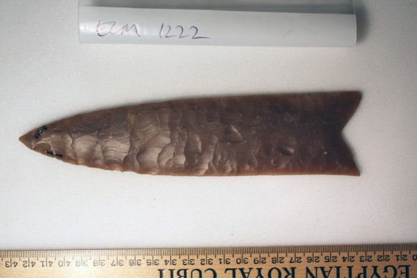 ECM.1222-2010-A image ECM.1222-2010-A