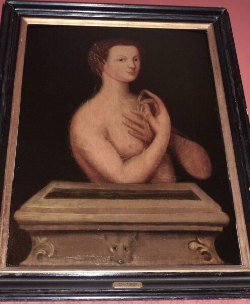 FDA-P.114-2010 image FDA-P.114-2010