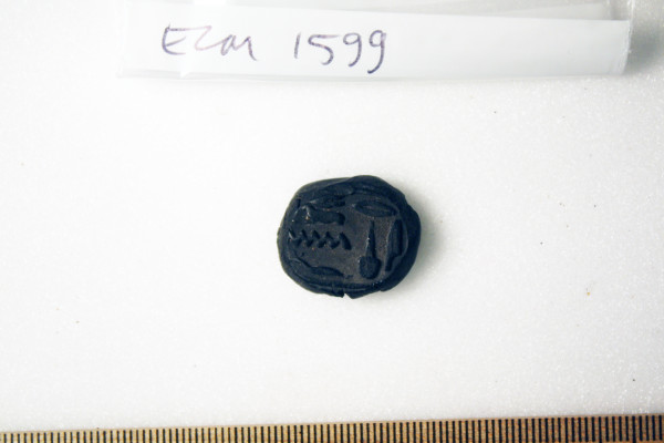 ECM.1599-2010-A image ECM.1599-2010-A