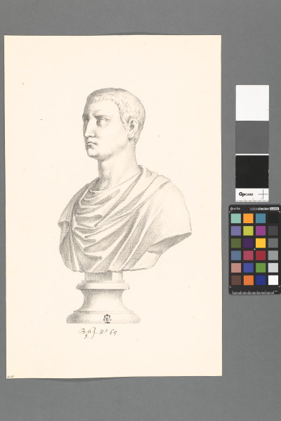 ECL-Bn.1_65-2013 image ECL-Bn.1_65-2013