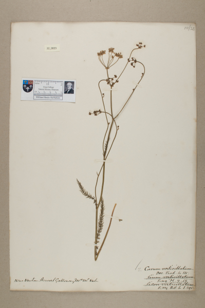 NHM_HH_22.23-2010 image NHM_HH_22.23-2010