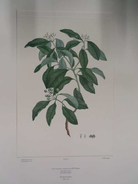 image FDA-E.2916_1_16-2016