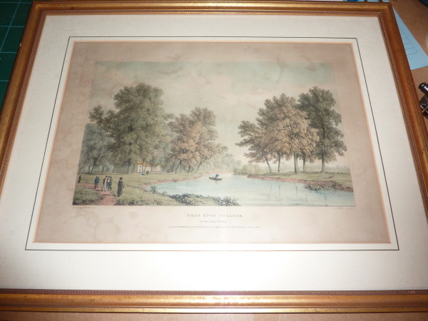 FDA-E.807-2013 image FDA-E.807-2013