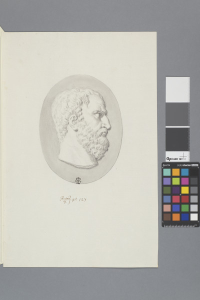 ECL-Bm.8_127-2013 image ECL-Bm.8_127-2013