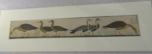 FDA-E.3055_82-2018 image FDA-E.3055_82-2018