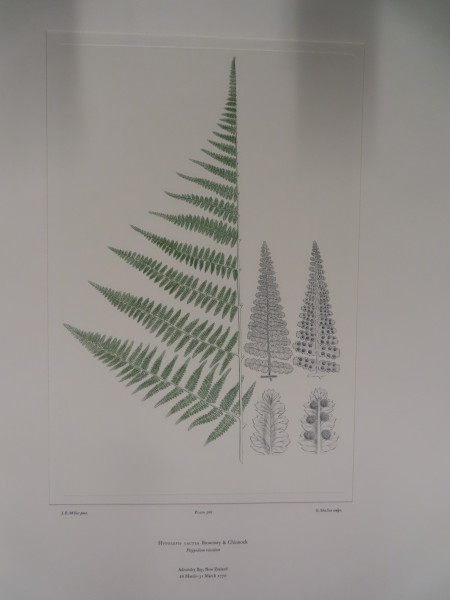 image FDA-E.2916_27_8-2016