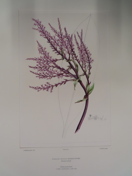 FDA-E.2916_31_24-2016-A image FDA-E.2916_31_24-2016-A