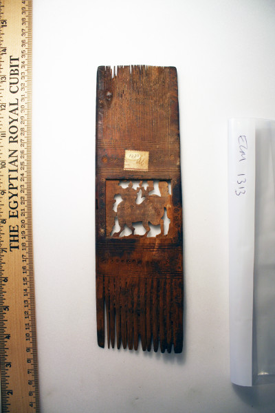 ECM.1313-2010-B image ECM.1313-2010-B