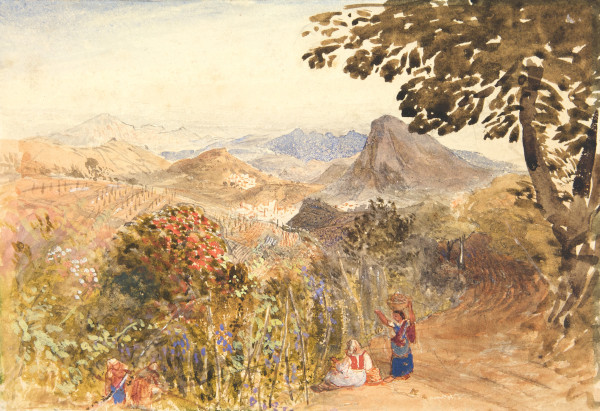 FDA-D.385-2010 image FDA-D.385-2010