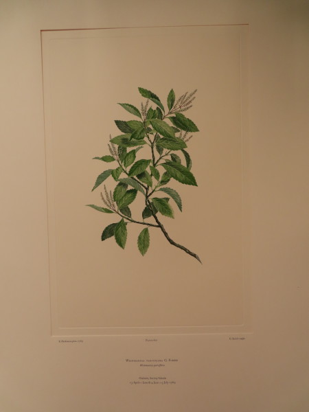 FDA-E.2916_28_21-2016-A image FDA-E.2916_28_21-2016-A