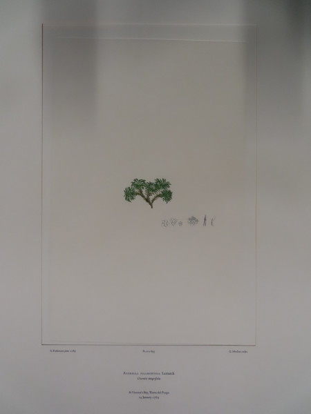 image FDA-E.2916_33_4-2016