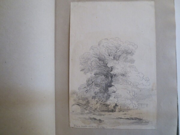 FDA-V.8-2016-N image FDA-V.8-2016-N