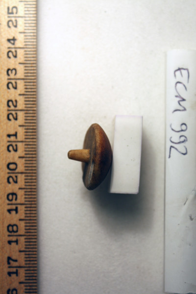 ECM.992-2010-C image ECM.992-2010-C