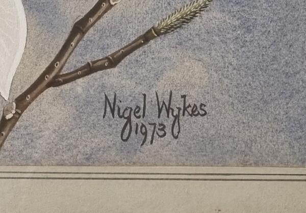 FDA-D.1785-2025-B image FDA-D.1785-2025-B