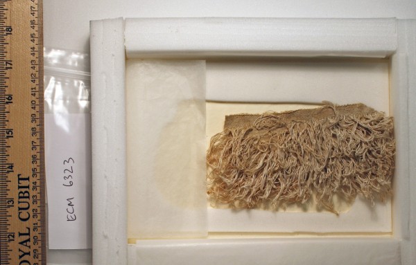 ECM.6323-2017-A image ECM.6323-2017-A