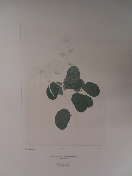 image FDA-E.2916_5_7-2016-A