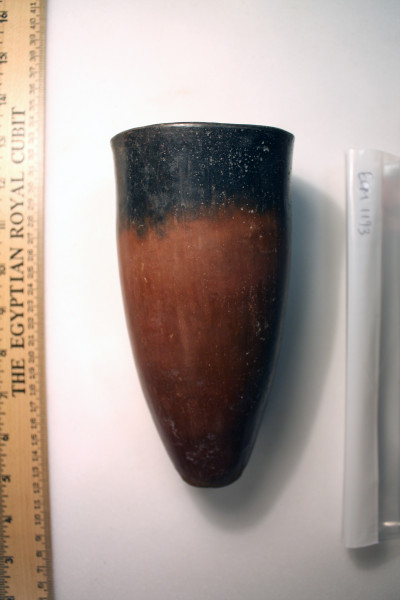 ECM.1193-2010-A image ECM.1193-2010-A