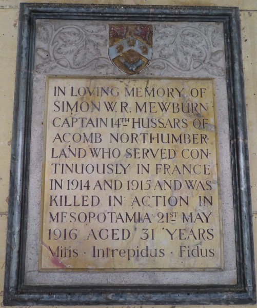 FDA-Sc.188-2022 image FDA-Sc.188-2022