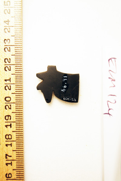 ECM.124-2010-B image ECM.124-2010-B