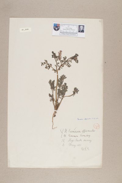 NHM_HH_7.120-2010 image NHM_HH_7.120-2010