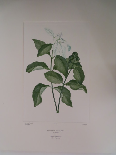 FDA-E.2916_7_18-2016-A image FDA-E.2916_7_18-2016-A