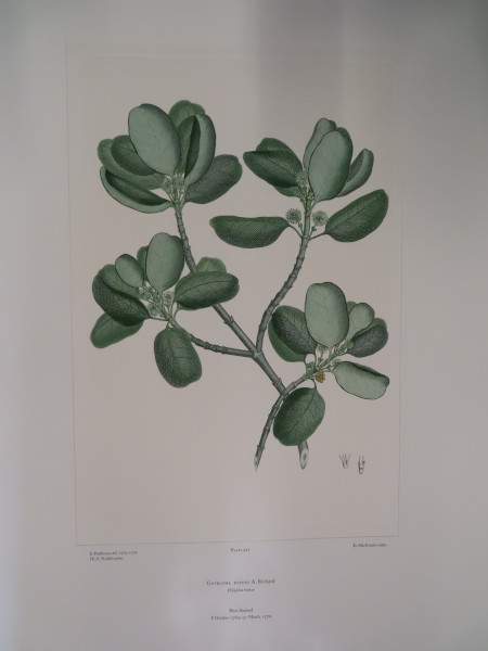 FDA-E.2916_23_6-2016-A image FDA-E.2916_23_6-2016-A